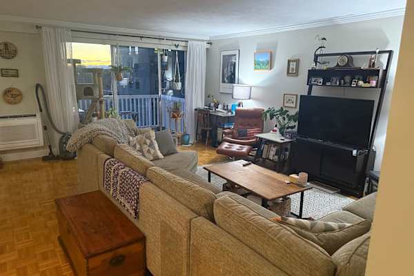 House sit in Brookline, MA, US