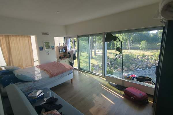 House sit in Amsterdam, Netherlands