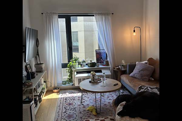 House sit in Brooklyn, NY, US
