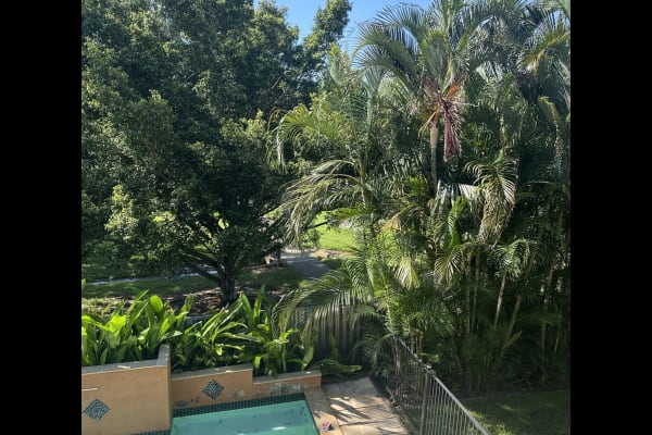 House sit in Brisbane, QLD, Australia