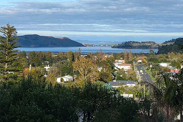House sit in Coromandel, New Zealand