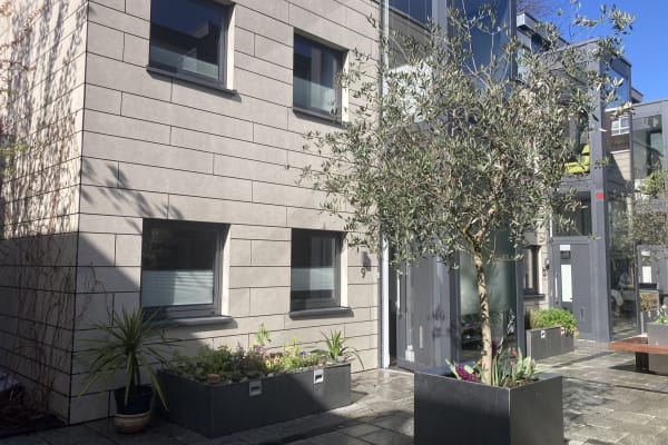 House sit in Kentish Town, United Kingdom