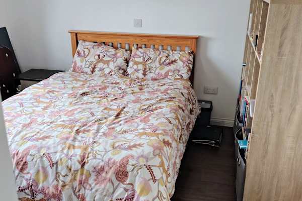 House sit in Dublin, Ireland