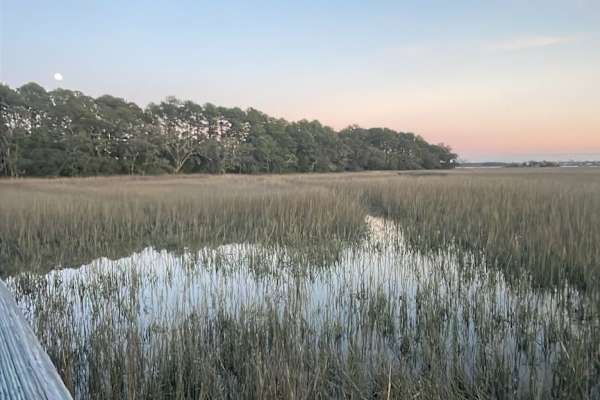 House sit in Charleston, SC, US