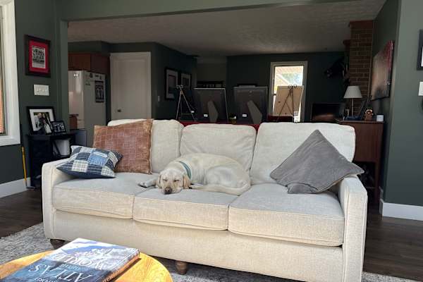 House sit in Beavercreek, OH, US