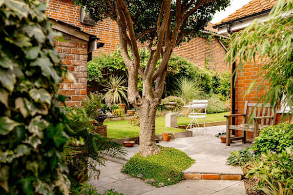 House sit in Beccles, United Kingdom