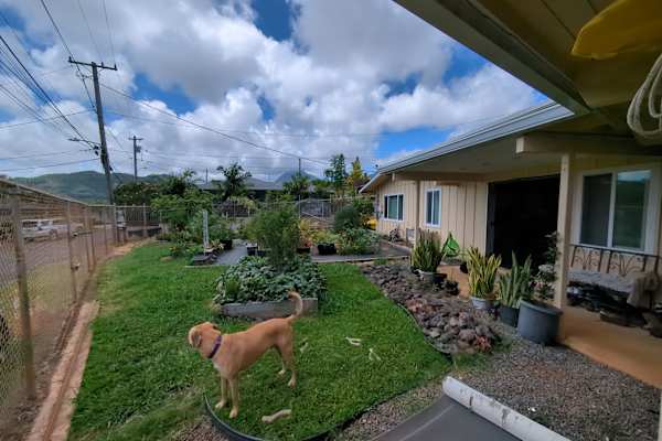 House sit in Kaneohe, HI, US