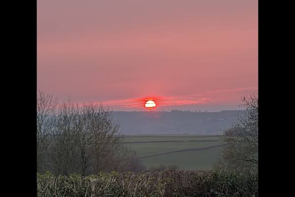 House sit in Bath, United Kingdom