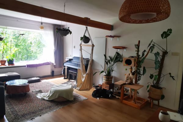 House sit in Leiden, Netherlands