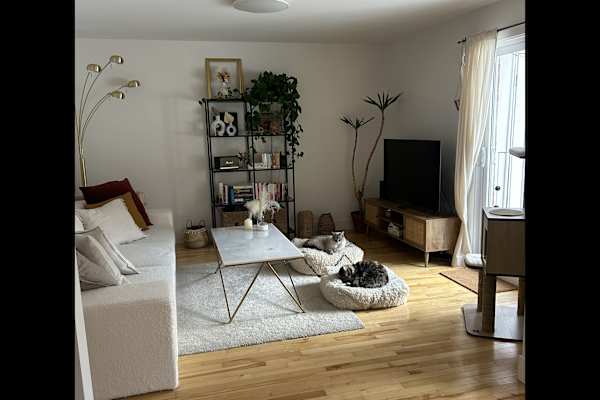 House sit in Montréal, QC, Canada