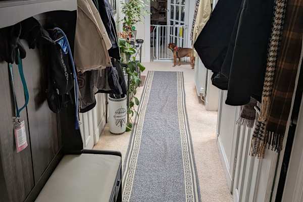 House sit in Edinburgh, United Kingdom