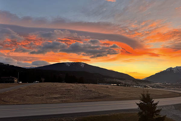 House sit in Crowsnest Pass, AB, Canada