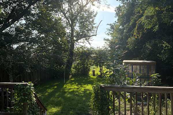 House sit in Wilmington, NC, US