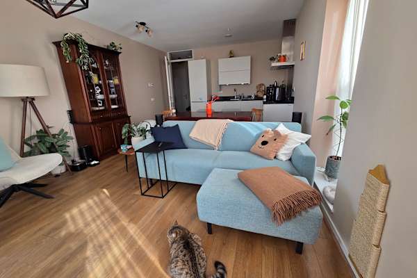 House sit in Utrecht, Netherlands