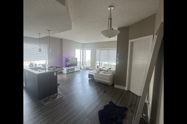 House sit in Edmonton, AB, Canada