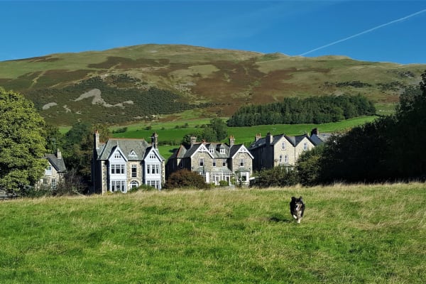 House sit in Sedbergh, United Kingdom