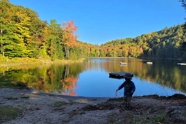 House sit in Cantley, QC, Canada