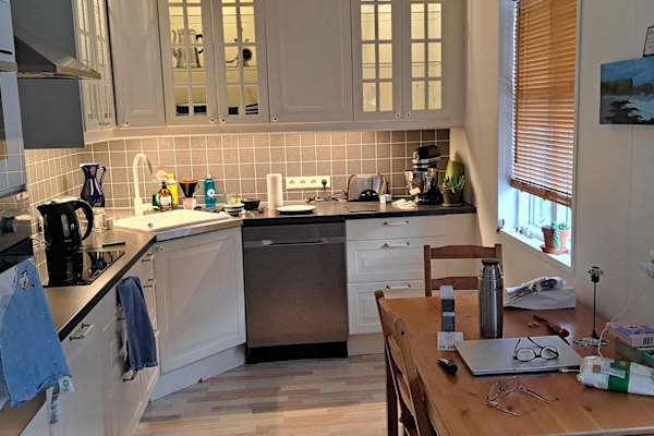 House sit in Ísafjörður, Iceland