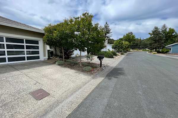 House sit in Healdsburg, CA, US