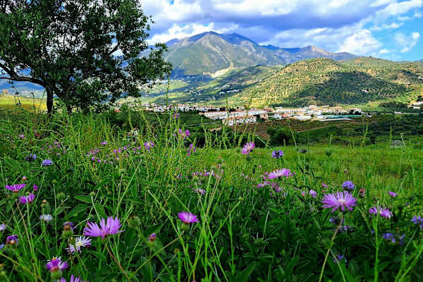 House sit in Viñuela, Spain