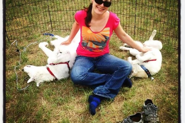 House sit in Salt Lake City, UT, US