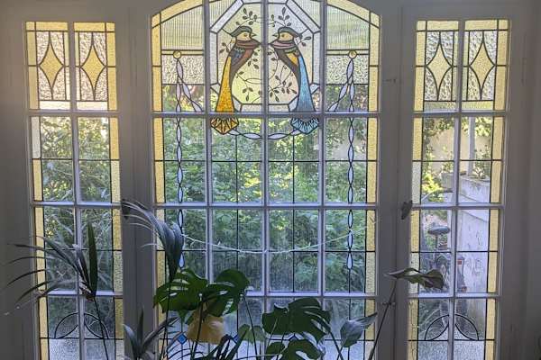 House sit in Bonn, Germany