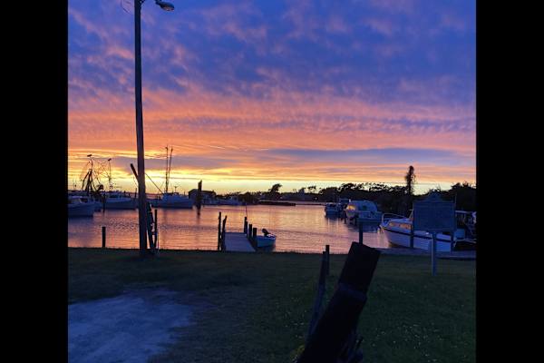 House sit in Marshallberg, NC, US