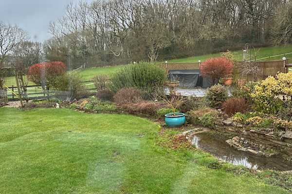 House sit in Yeovil, United Kingdom