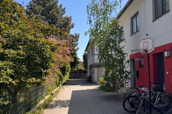 House sit in Vienna, Austria