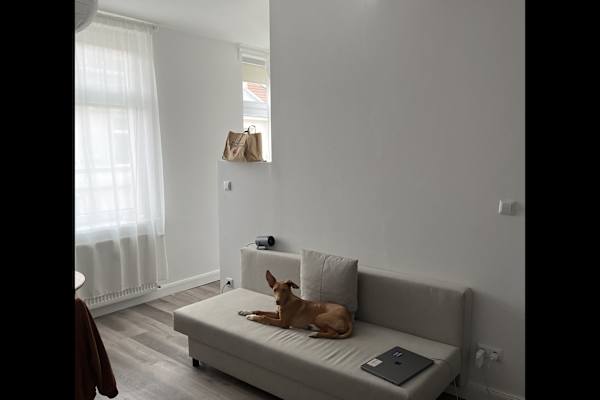 House sit in Berlin, Germany