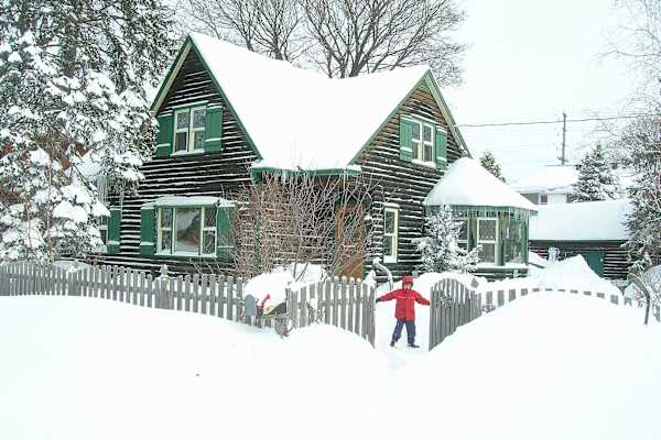 House sit in Ottawa, ON, Canada