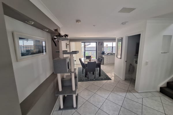 House sit in Brisbane, QLD, Australia