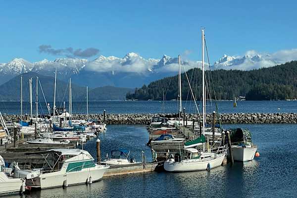 House sit in Vancouver, BC, Canada