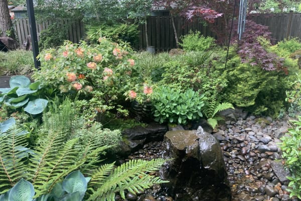 House sit in Lake Oswego, OR, US