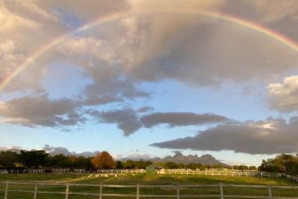 House sit in Stellenbosch, South Africa