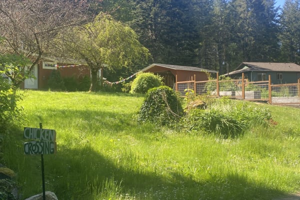 House sit in Chimacum, WA, US