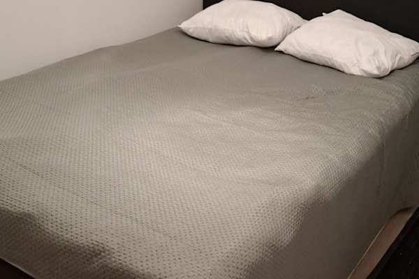 House sit in Costa Nova, Portugal