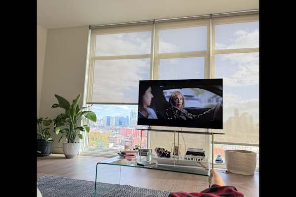 House sit in Jersey City, NJ, US