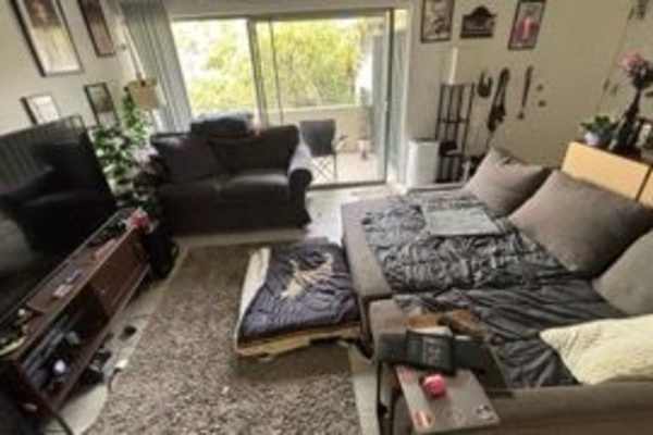 House sit in Los Angeles, CA, US