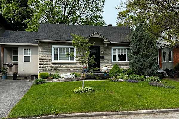 House sit in Ottawa, ON, Canada