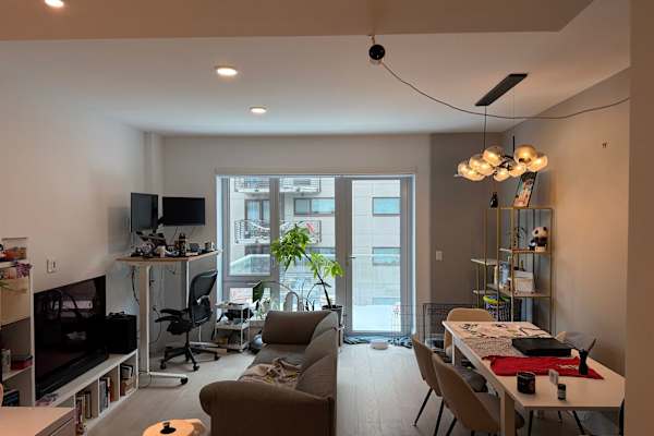 House sit in Brooklyn, NY, US