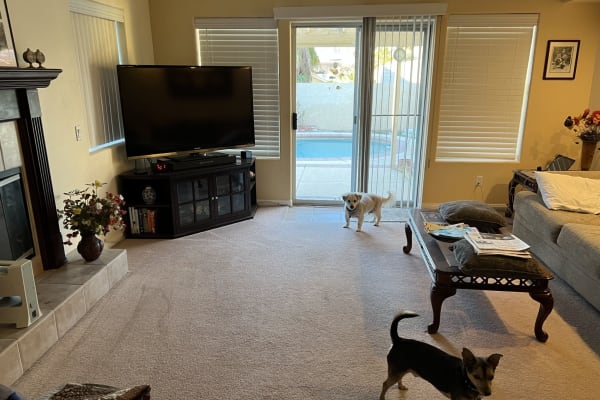 House sit in Spring Valley, NV, US