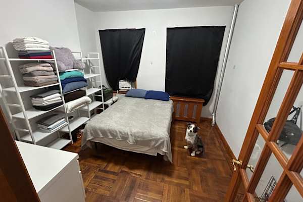 House sit in New York City, NY, US