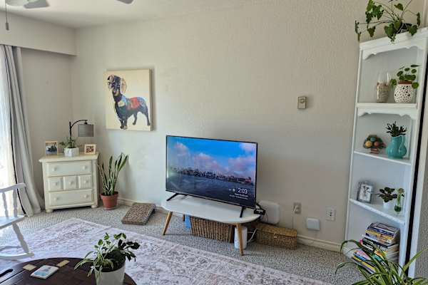 House sit in Victoria, BC, Canada