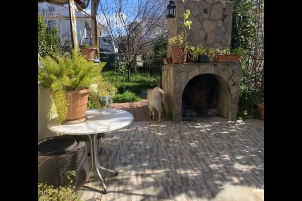 House sit in Fethiye, Turkey