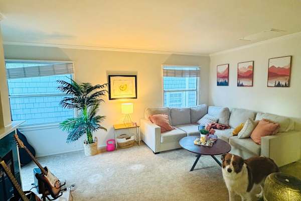 House sit in Balboa Island, CA, US