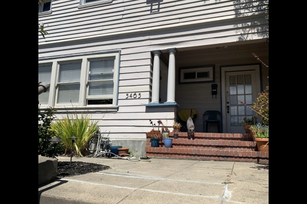 House sit in Oakland, CA, US