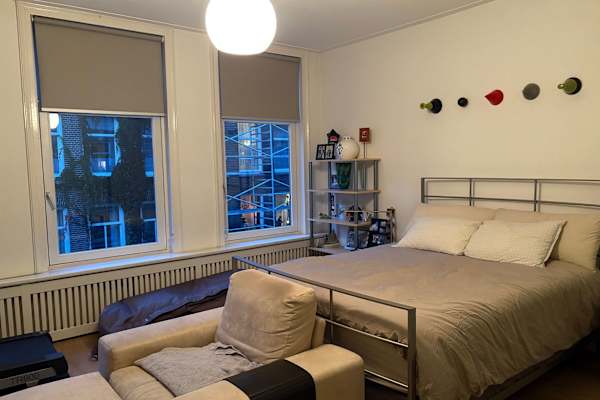 House sit in Amsterdam, Netherlands