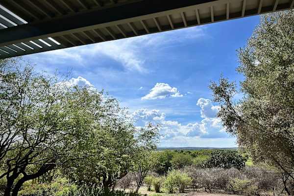 House sit in San Miguel de Allende, Mexico