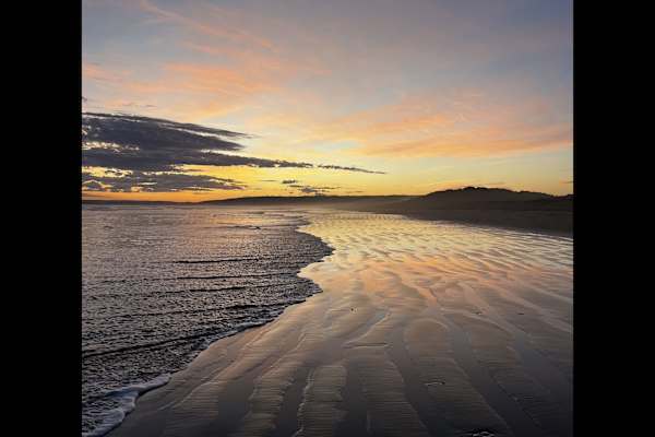 House sit in Goolwa, SA, Australia